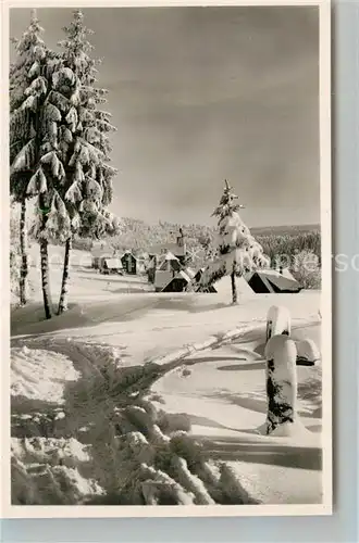 AK / Ansichtskarte Kniebis_Freudenstadt Winteridyll Kniebis_Freudenstadt