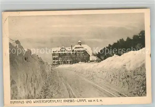 AK / Ansichtskarte Kniebis_Freudenstadt Kurhaus Kniebis Lamm Kniebis_Freudenstadt