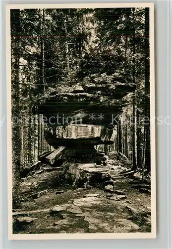 AK / Ansichtskarte Kniebis_Freudenstadt Kastelstein Kniebis_Freudenstadt