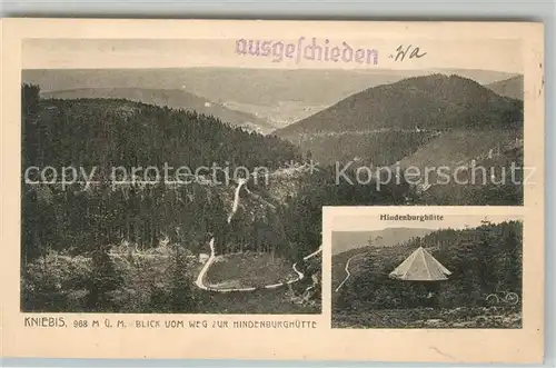 AK / Ansichtskarte Kniebis_Freudenstadt Panorama Weg zur Hindenburghuette Kniebis_Freudenstadt