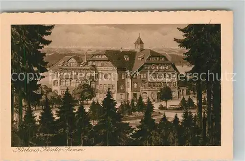 AK / Ansichtskarte Kniebis_Freudenstadt Kurhaus Kniebis Lamm Kniebis_Freudenstadt
