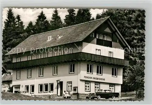 AK / Ansichtskarte Kniebis_Freudenstadt Pension Kniebishoehe Kniebis_Freudenstadt