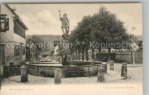 AK / Ansichtskarte Freudenstadt Neptunbrunnen Freudenstadt