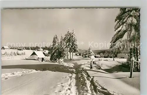 AK / Ansichtskarte Kniebis_Freudenstadt Winterpanorama Kniebis_Freudenstadt