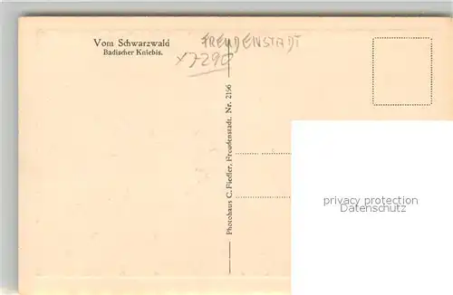 AK / Ansichtskarte Kniebis_Freudenstadt Panorama Kirche Kniebis_Freudenstadt