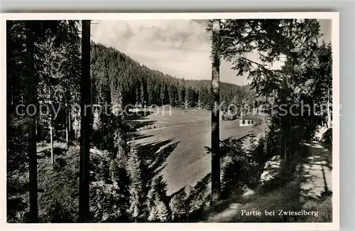 AK / Ansichtskarte Zwieselberg_Freudenstadt Landschaftspanorama Schwarzwald Zwieselberg_Freudenstadt