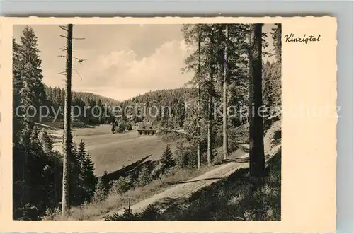 AK / Ansichtskarte Zwieselberg_Freudenstadt Panorama Kinzigtal im Schwarzwald Zwieselberg_Freudenstadt