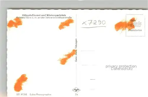 AK / Ansichtskarte Kniebis_Freudenstadt Teilansicht Hoehenluftkurort Wintersportplatz Schwarzwald Kniebis_Freudenstadt