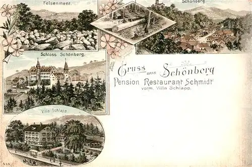 AK / Ansichtskarte Schoenberg_Stuttgart Pension Schmidt Villa Schlapp Schloss  Schoenberg_Stuttgart