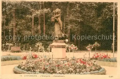 AK / Ansichtskarte Strasbourg_Alsace Orangerie G&#228;nseliesel Strasbourg Alsace