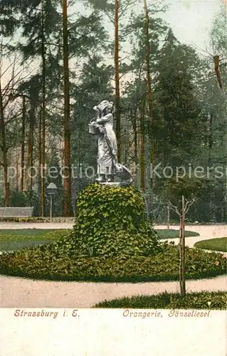 AK / Ansichtskarte Strassburg_Elsass Orangerie Gänseliesel Strassburg Elsass