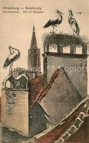 AK / Ansichtskarte Strasbourg_Alsace Storchennest Strasbourg Alsace