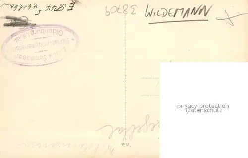 AK / Ansichtskarte Wildemann Panorama Wildemann