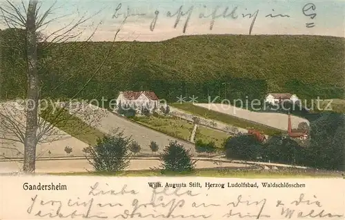 AK / Ansichtskarte Gandersheim_Bad Wilhelm Augusta Stift Herzog Ludolfsbad Waldschl&#246;sschen Gandersheim_Bad