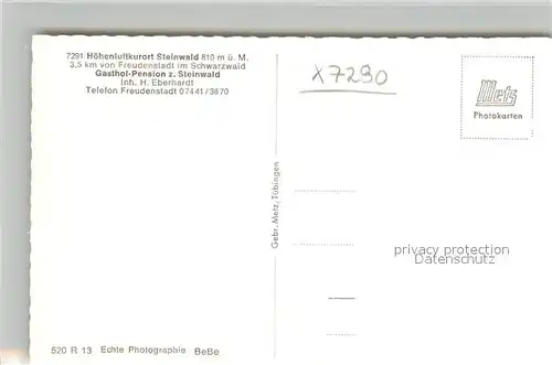 AK / Ansichtskarte Steinwald Gasthof Pension zum Steinwald Steinwald