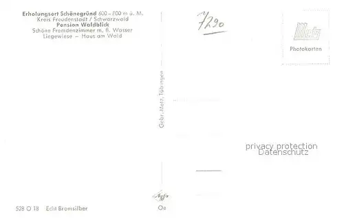 AK / Ansichtskarte Schoenegruend Pension Waldblick Landschaftspanorama Schwarzwald Bromsilber Schoenegruend