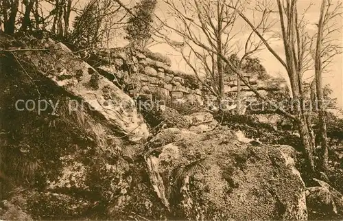 AK / Ansichtskarte St_Odilienberg_Mont Ste Odile Heidenmauer St_Odilienberg