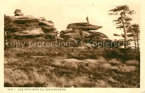 AK / Ansichtskarte Wangenbourg Engenthal Les Rochers du Schneeberg Felsen Wangenbourg Engenthal
