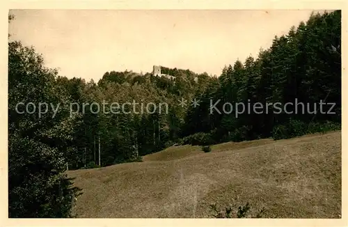 AK / Ansichtskarte Wangenbourg Engenthal La Ruine vue de la vallee Wangenbourg Engenthal