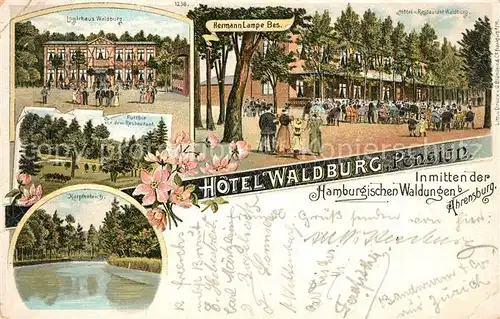 AK / Ansichtskarte Ahrensburg Hotel Waldburg Karpfenteich Ahrensburg