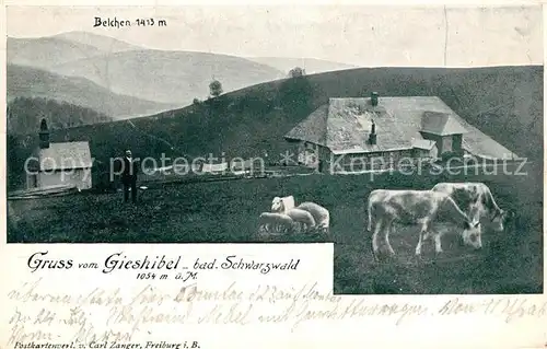 AK / Ansichtskarte Gieshibel_Muenstertal Belchen Gieshibel_Muenstertal