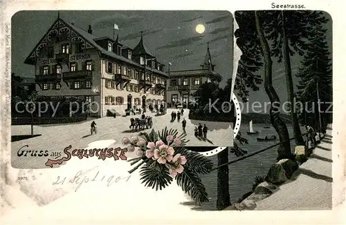 AK / Ansichtskarte Schluchsee Hotel Sternen Schluchsee