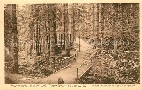 AK / Ansichtskarte Freudenstadt Partie im Teuchelwald Freudenstadt