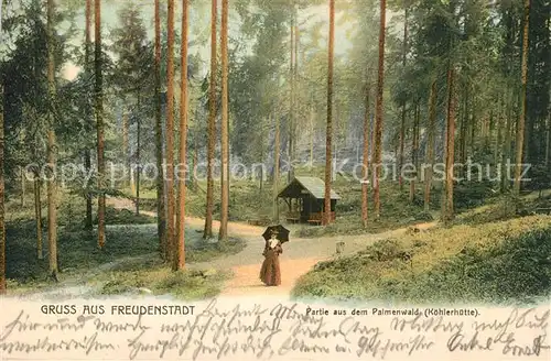 AK / Ansichtskarte Freudenstadt Palmenwald Koehlerhuette Freudenstadt