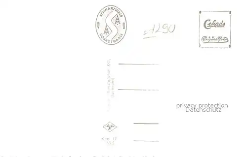 AK / Ansichtskarte Kniebis_Freudenstadt Pension Immergruen Kniebis_Freudenstadt