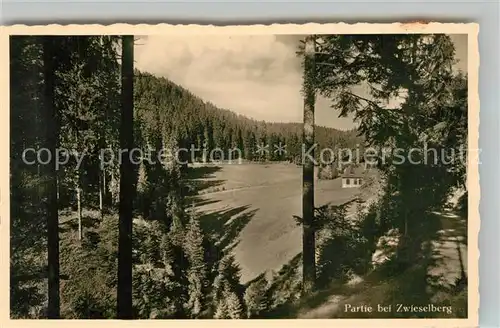 AK / Ansichtskarte Zwieselberg_Freudenstadt Landschaftspartie Zwieselberg_Freudenstadt