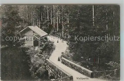 AK / Ansichtskarte Freudenstadt Waldpartie Freudenstadt