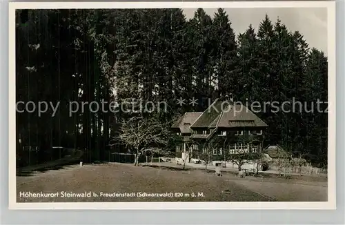 AK / Ansichtskarte Steinwald Pension Villa Heinzelmann Steinwald