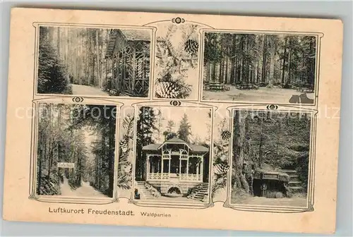 AK / Ansichtskarte Freudenstadt Waldpartien Freudenstadt