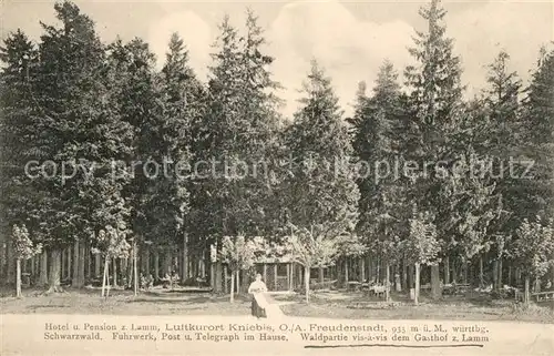 AK / Ansichtskarte Kniebis_Freudenstadt Waldpartie vis a vis Gasthof zum Lamm Kniebis_Freudenstadt