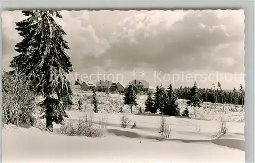 AK / Ansichtskarte Kniebis_Freudenstadt Winterlandschaft Kurort im Schwarzwald Kniebis_Freudenstadt
