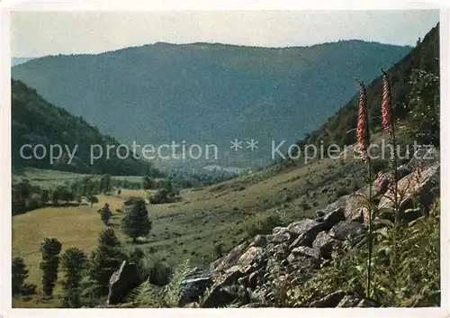 AK / Ansichtskarte Wormsa_Haut_Rhin_Elsass Im Wormsatal 