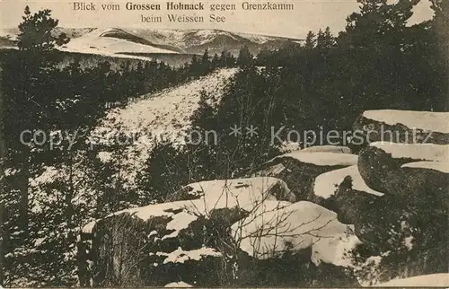 AK / Ansichtskarte Gerardmer_Vosges Blick vom Grossen Hohnack zum Weissen See Gerardmer Vosges