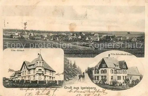 AK / Ansichtskarte Igelsberg Villa Schultheiss Kappler Villa Girbach Igelsberg