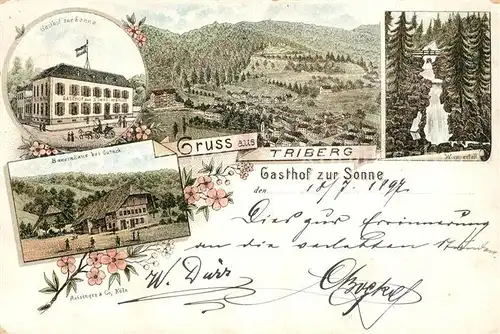 AK / Ansichtskarte Triberg_Schwarzwald Gasthof Sonne Wasserfall Bauernhaus Triberg Schwarzwald