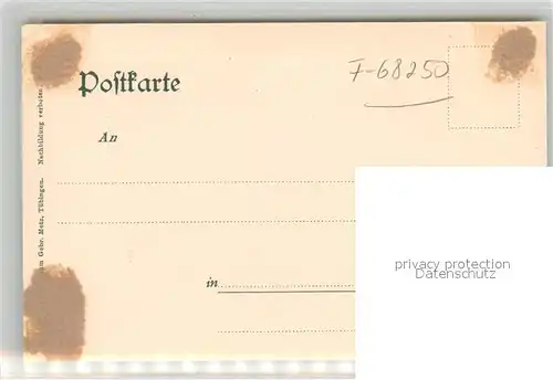 AK / Ansichtskarte Rufach Panorama Rufach