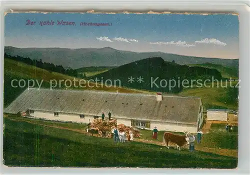 AK / Ansichtskarte Vogesen_Vosges_Region Der Kahle Wasen Vogesen_Vosges_Region