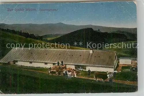 AK / Ansichtskarte Vogesen_Vosges_Region Der Kahle Wasen Vogesen_Vosges_Region