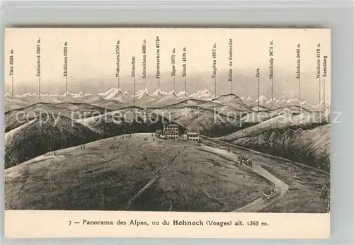 AK / Ansichtskarte Hohneck Panorama des Alpes Hohneck