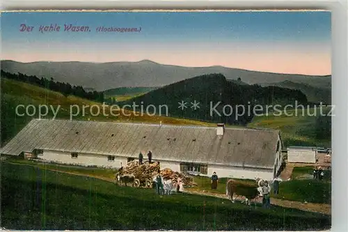 AK / Ansichtskarte Vogesen_Vosges_Region Der Kahle Wasen Vogesen_Vosges_Region