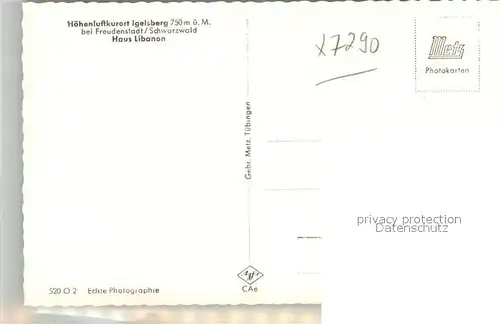 AK / Ansichtskarte Igelsberg Teilansicht mit Haus Libanon Fliegeraufnahme Igelsberg