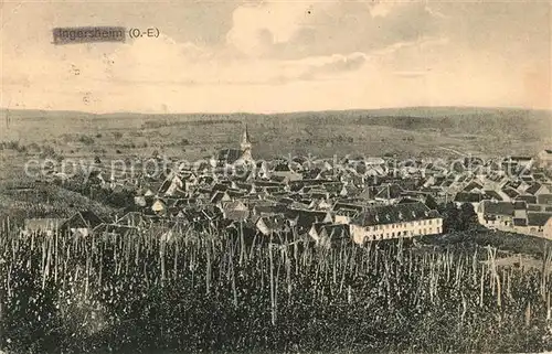 AK / Ansichtskarte Ingersheim_Haut Rhin Panorama Ingersheim Haut Rhin