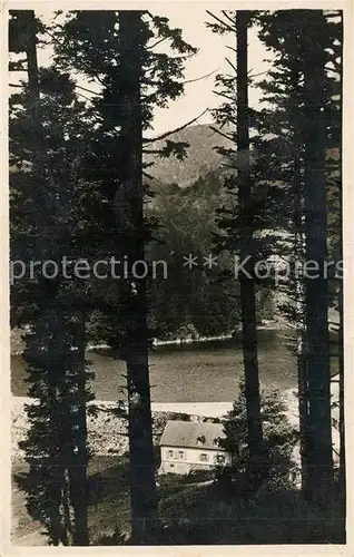 AK / Ansichtskarte Munster_Haut_Rhin_Elsass La Vallee de Munster Lac du Schiessrothried Munster_Haut_Rhin_Elsass