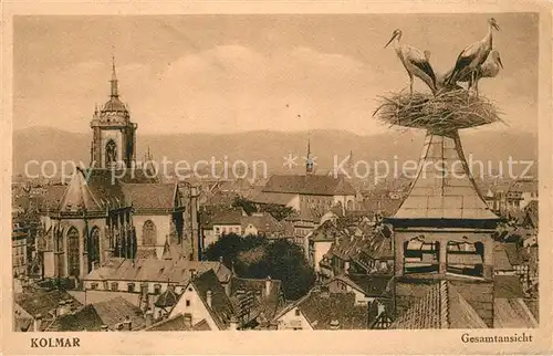 AK / Ansichtskarte Colmar_Haut_Rhin_Elsass Stadtblick mit Kirche und Storchennest Colmar_Haut_Rhin_Elsass