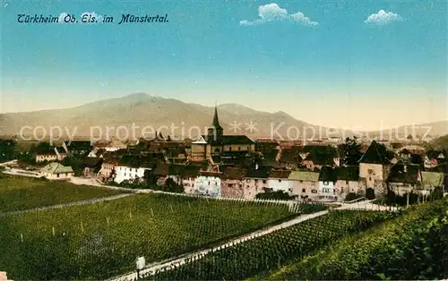 AK / Ansichtskarte Tuerkheim_Elsass Panorama Tuerkheim Elsass