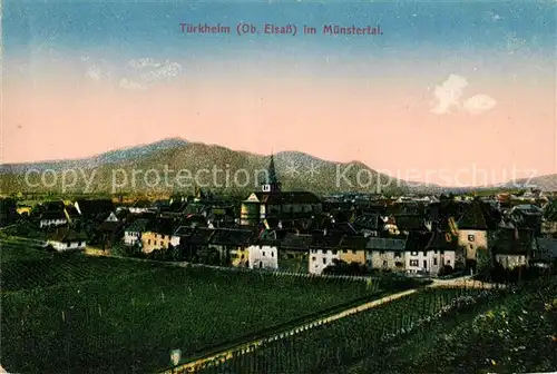 AK / Ansichtskarte Tuerkheim_Elsass Panorama Tuerkheim Elsass